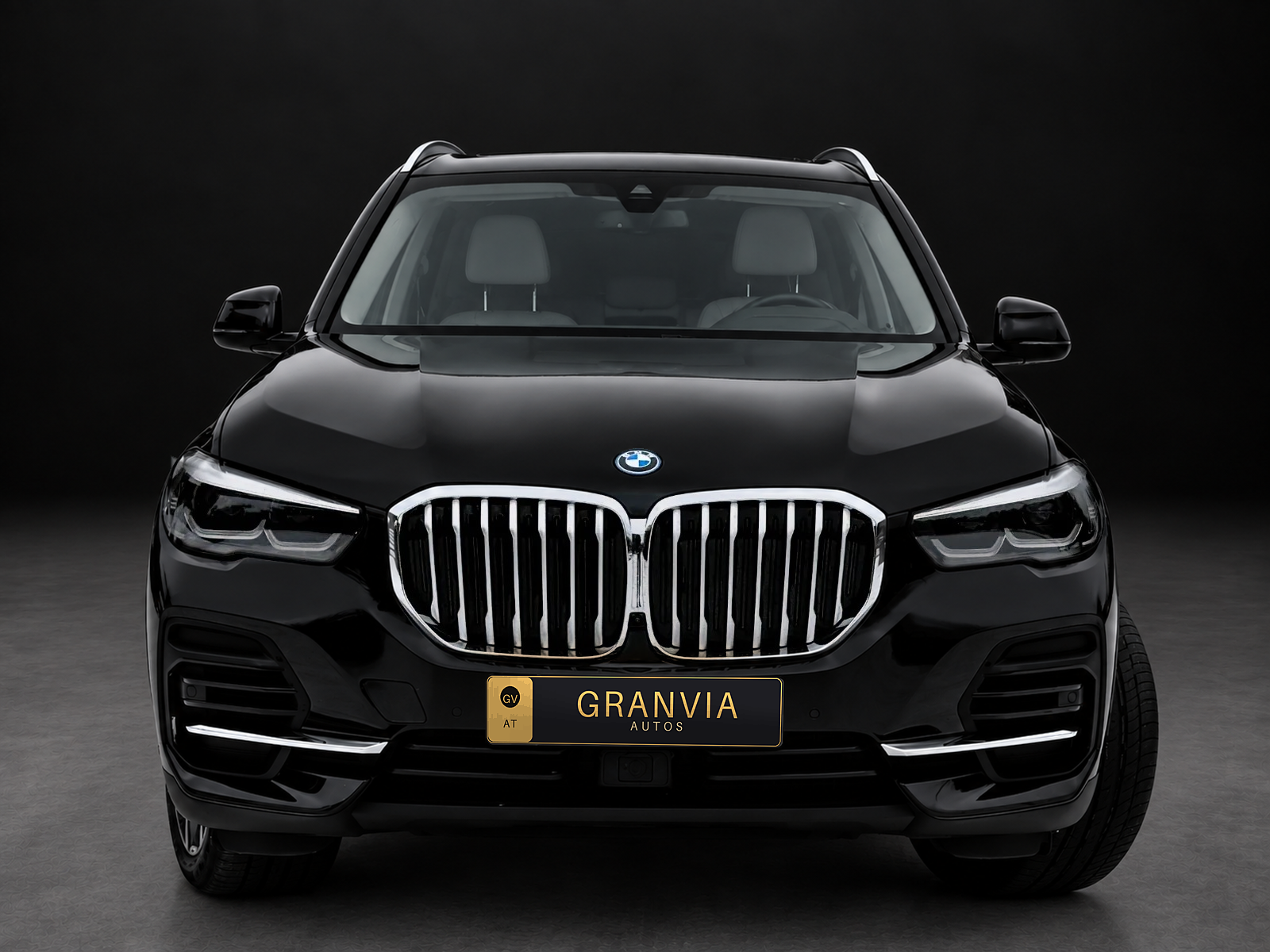BMW X5 xDrive 45e SkyLounge im Studio, Frontansicht