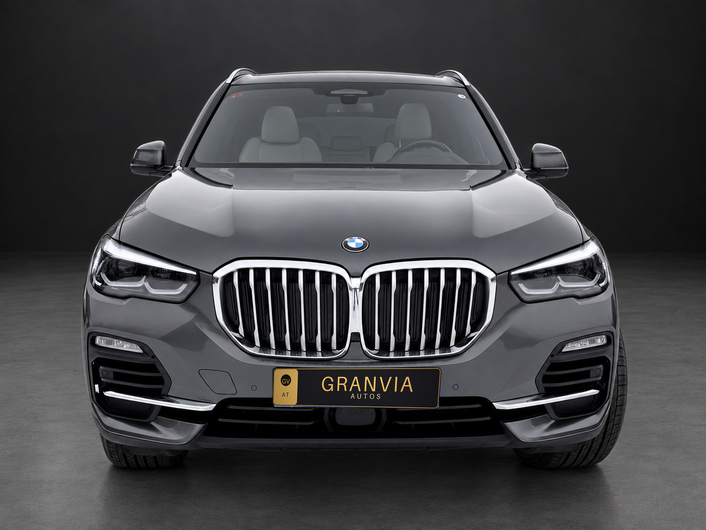 BMW X5 xDrive 45e Panorama – Fahrzeugfoto 2 von 28